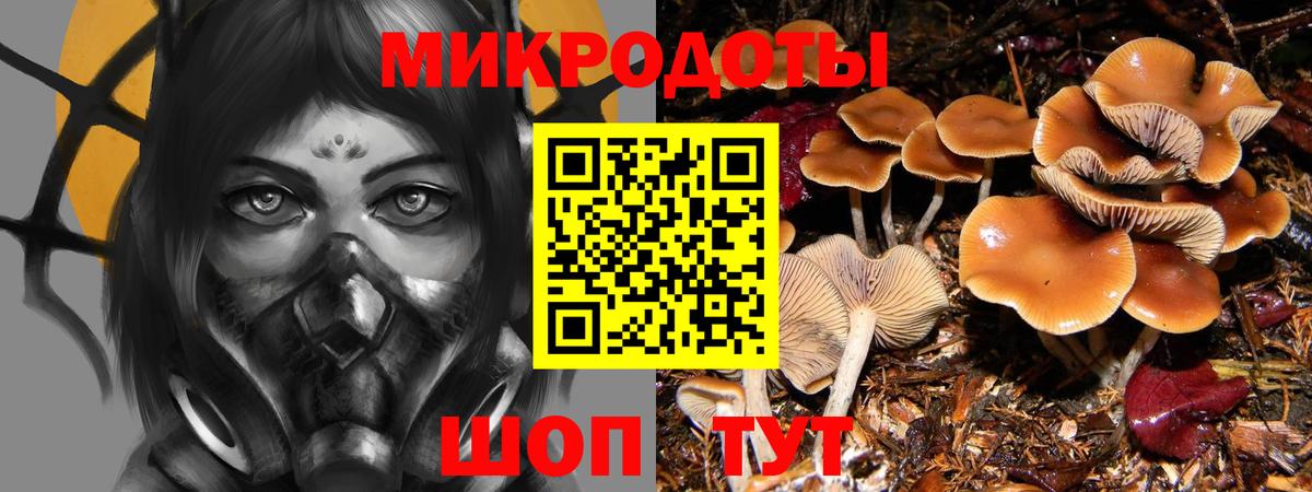 Псилоцибиновые грибы GOLDEN TEACHER  Вход с VPN  Рузаевка 